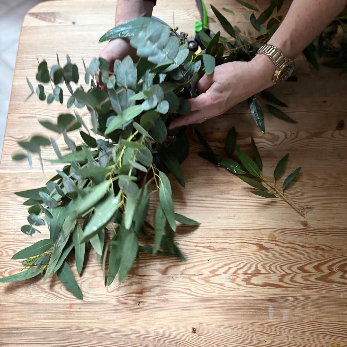 Eucalyptus & Rosemary Shower Bundle: Your Daily Spa Escape