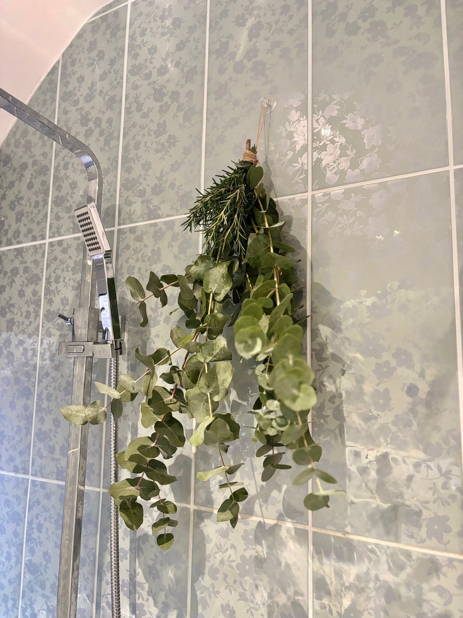 Eucalyptus & Rosemary Shower Bundle: Your Daily Spa Escape