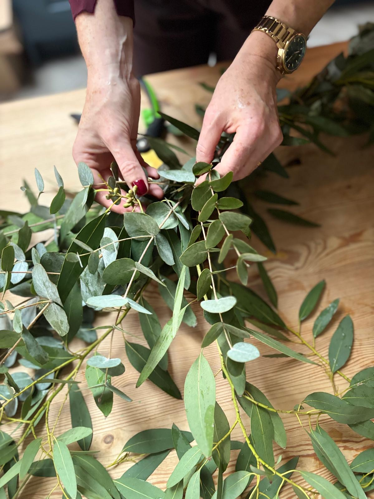 Aromatic Bunch of Eucalyptus with FREE Gift